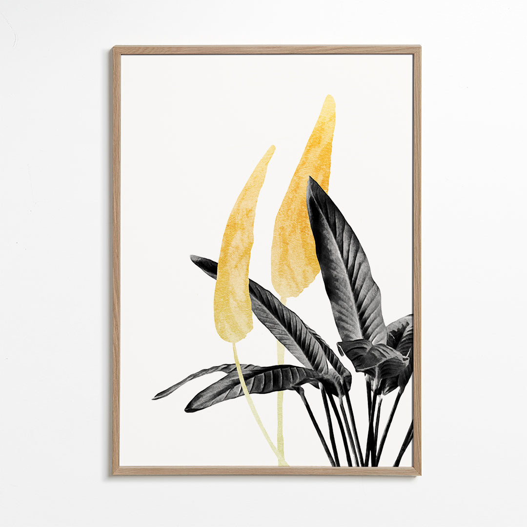 Bird of Paradise Plant Black, White and Gold 01
