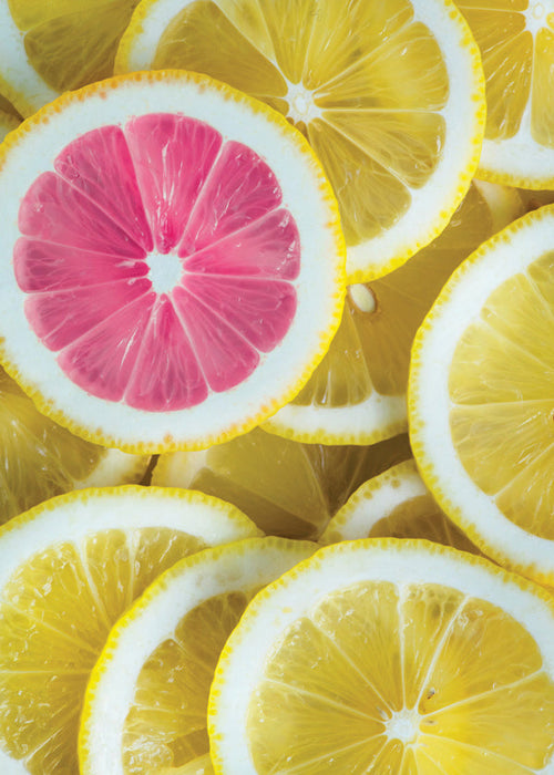 Kitchen art pink lemon slices