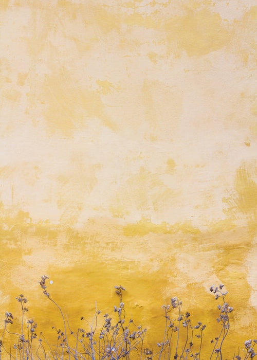 Botanical print: textured wall with dried blooms
