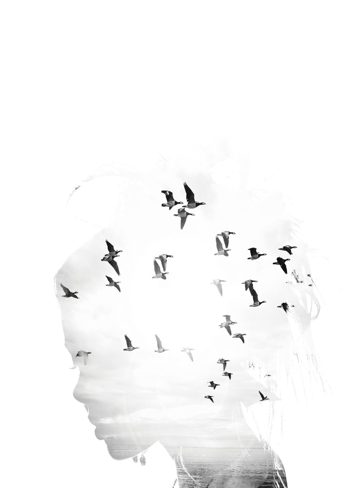 Dreamer - Unframed art print