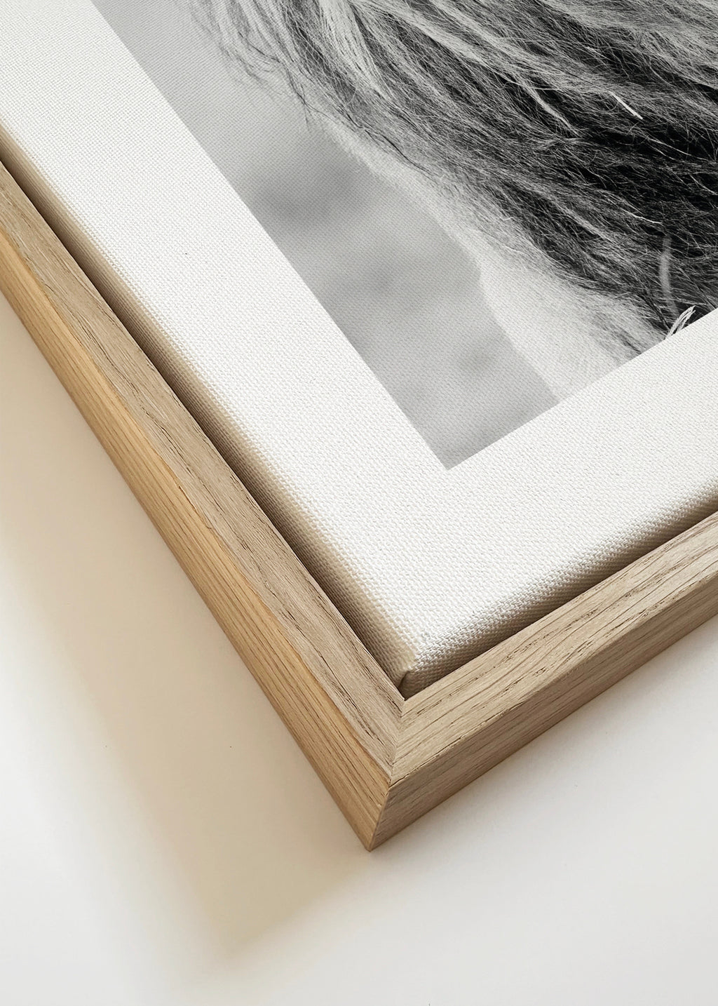 Majestic lion - Framed canvas detail
