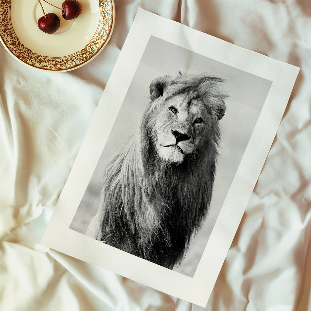 Majestic lion