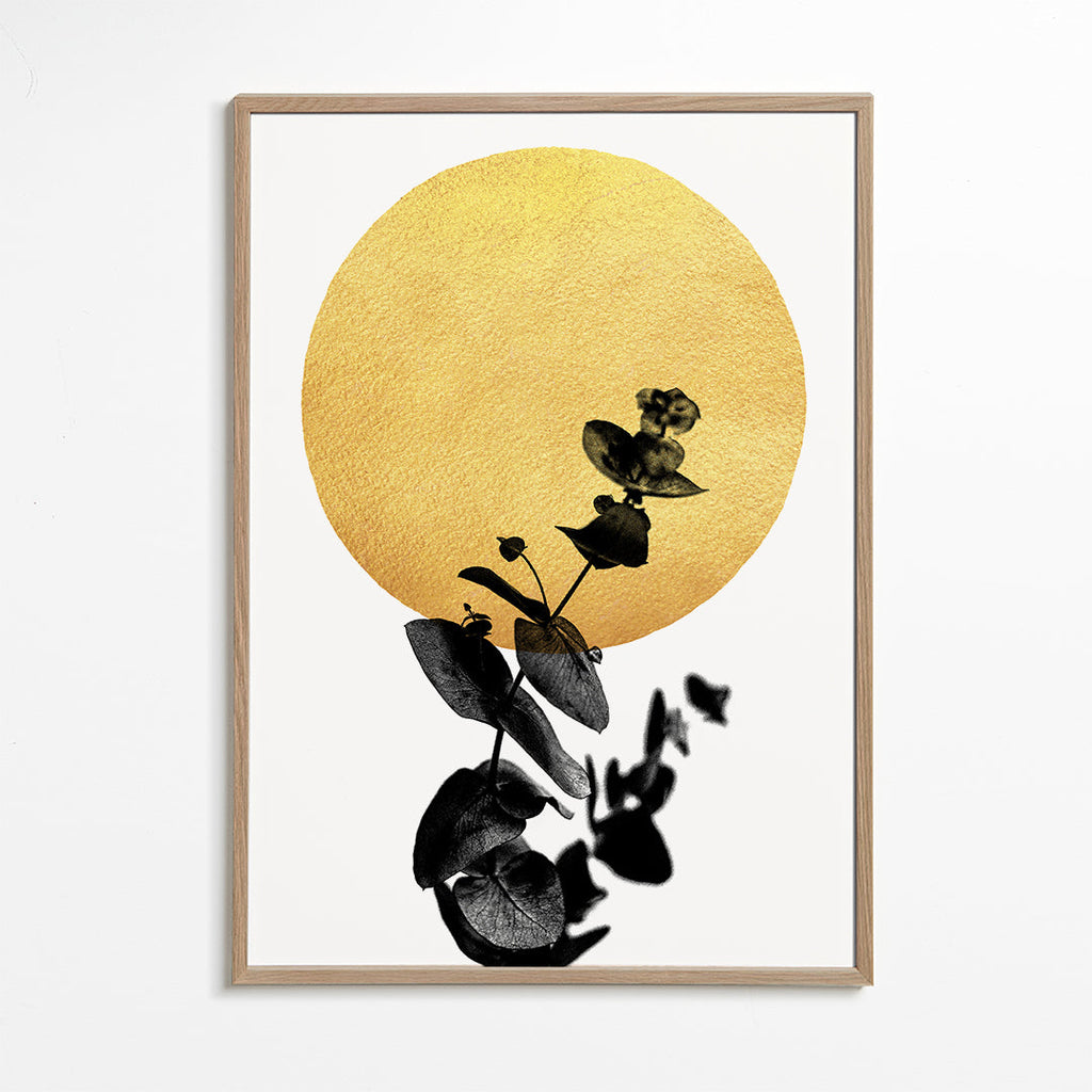 La vie en rose