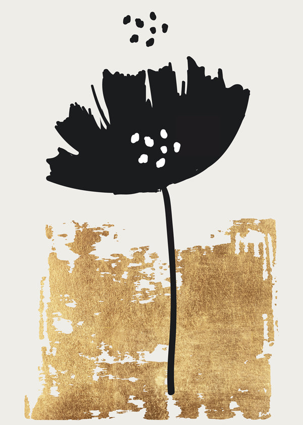 Black Poppy