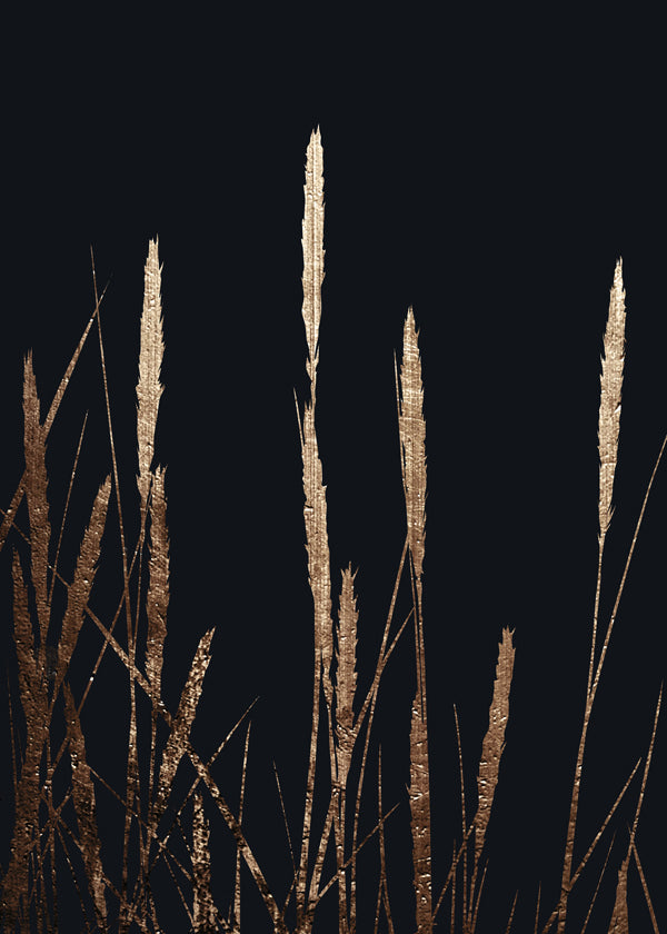 Golden fields in the dark