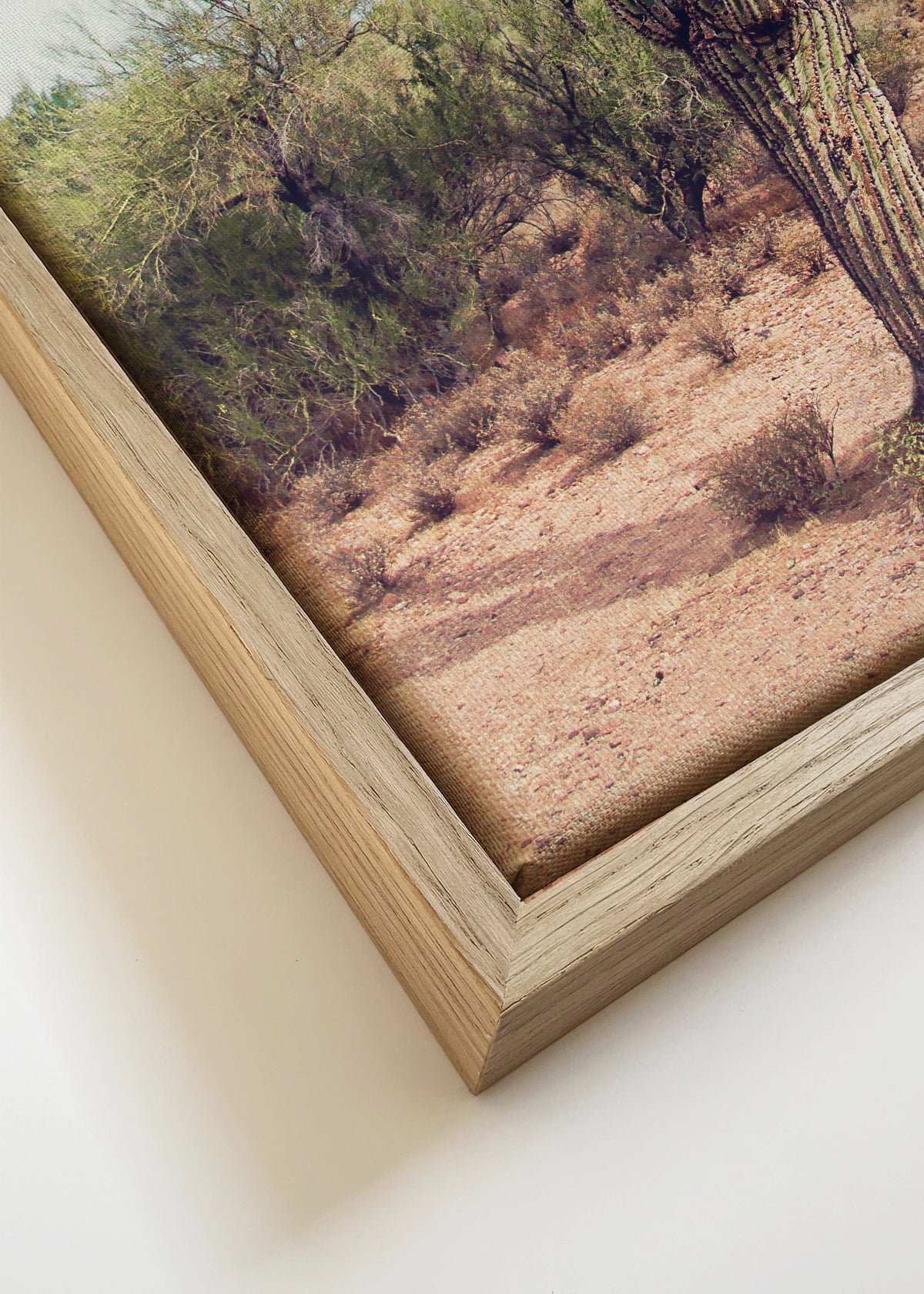 Desert cactus - Framed canvas detail