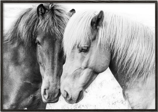 Horse Love