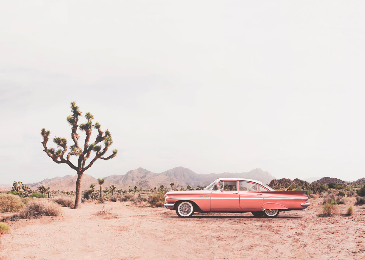 In the desert - Unframed art print