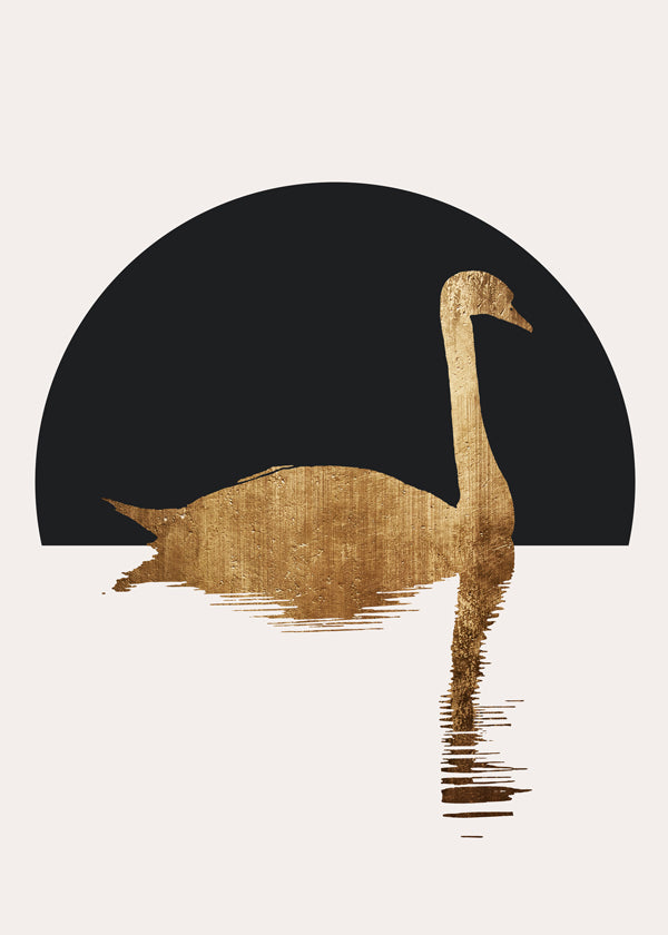 The swan black