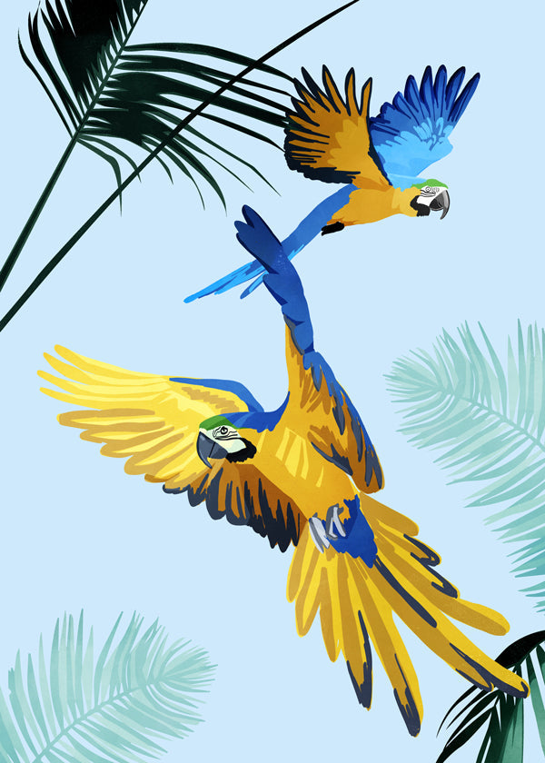 Flying Parrots