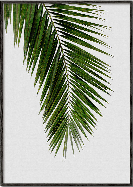 Palm Leaf I