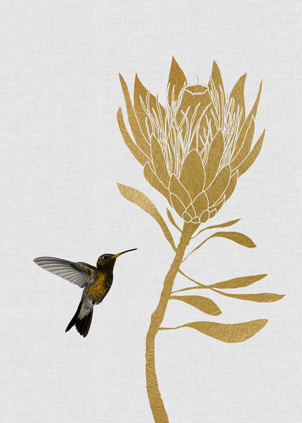 Hummingbird & Flower I