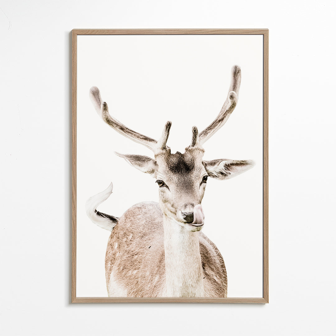 Deer I 2