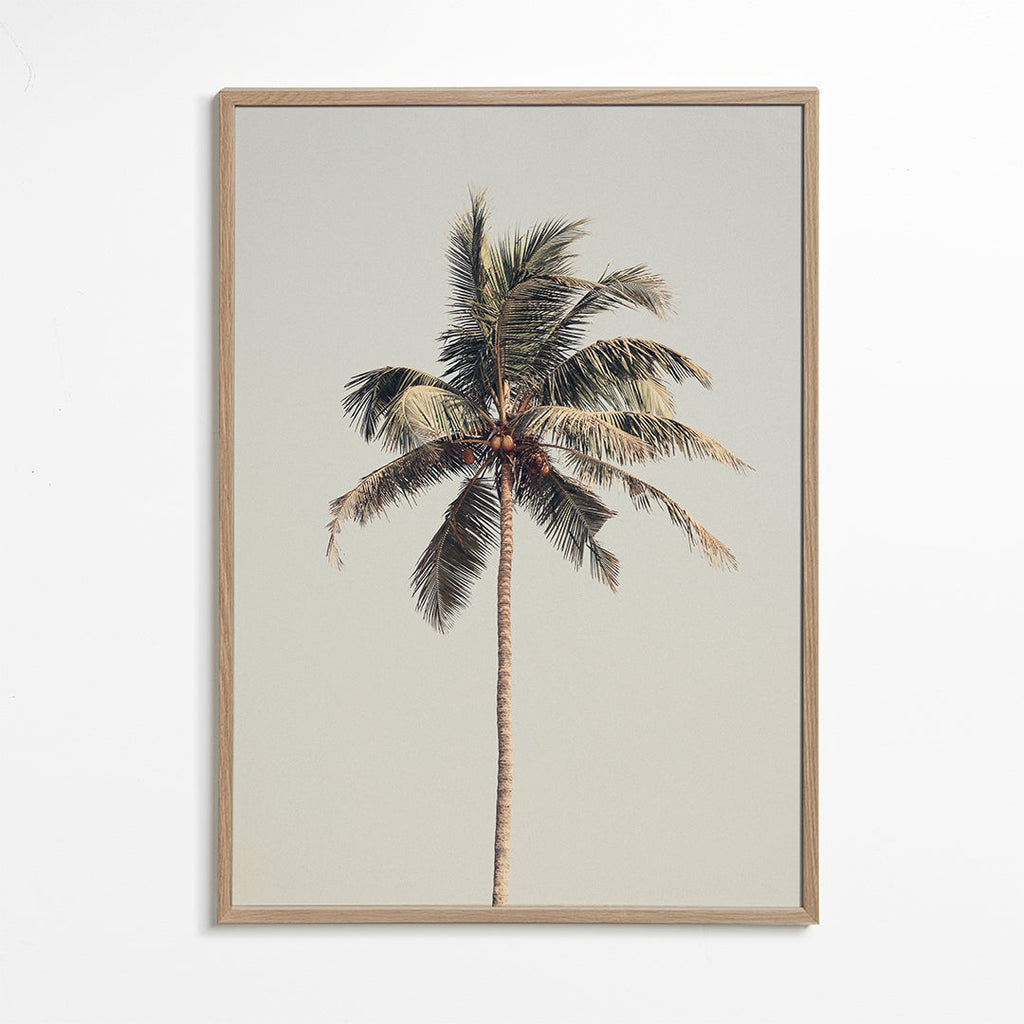 Palm tree by the beach