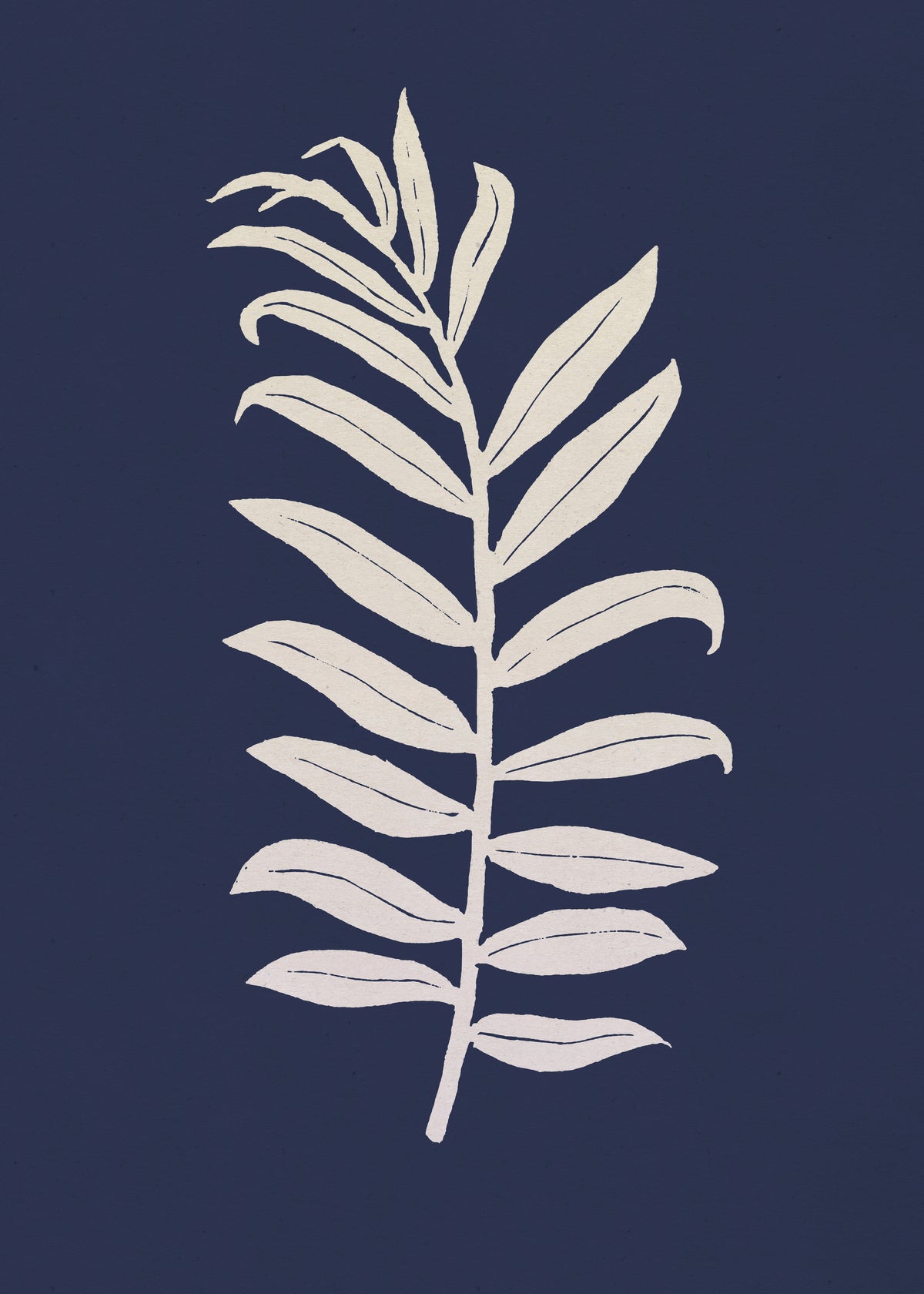 Areca Palmata Deepnight Moon - Unframed art print