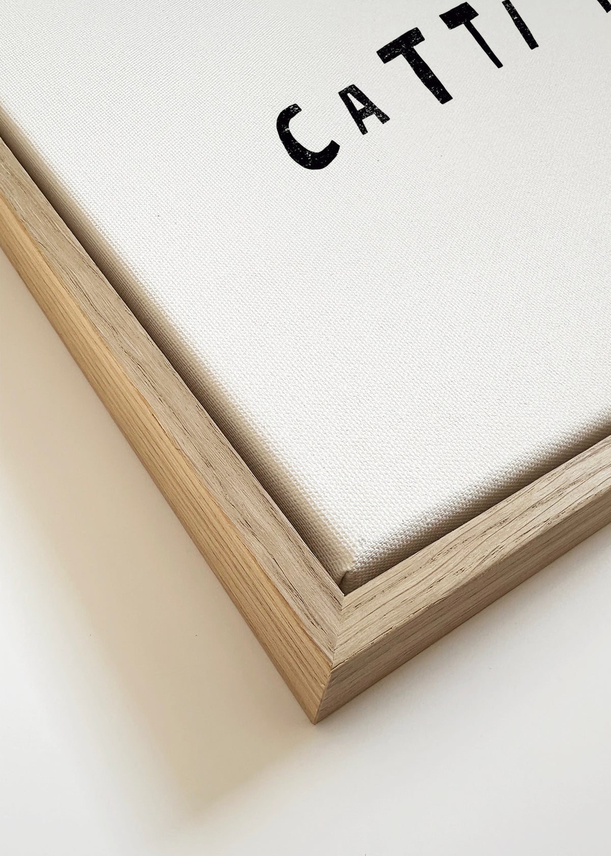 Catisfaction 6 - Framed canvas detail