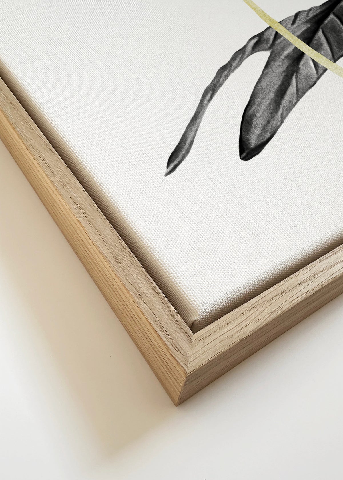 Bird of Paradise Plant Black, White and Gold 01 - Framed canvas detail