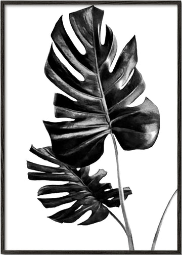 Monstera Black and White 01