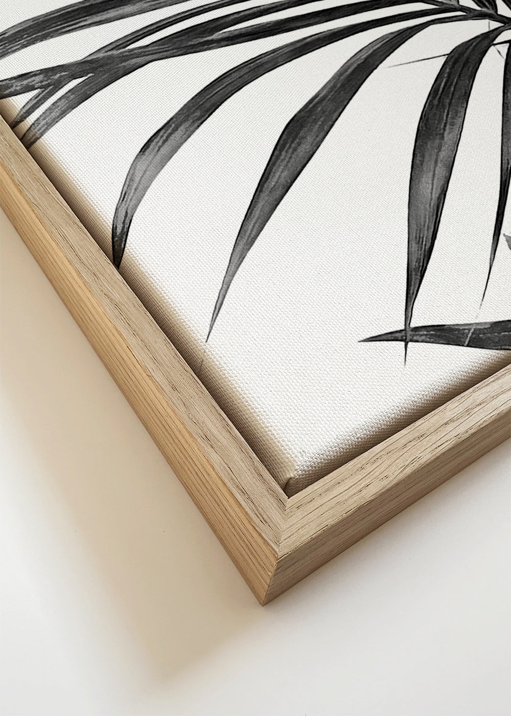 Palm Leaves Black and White 01
