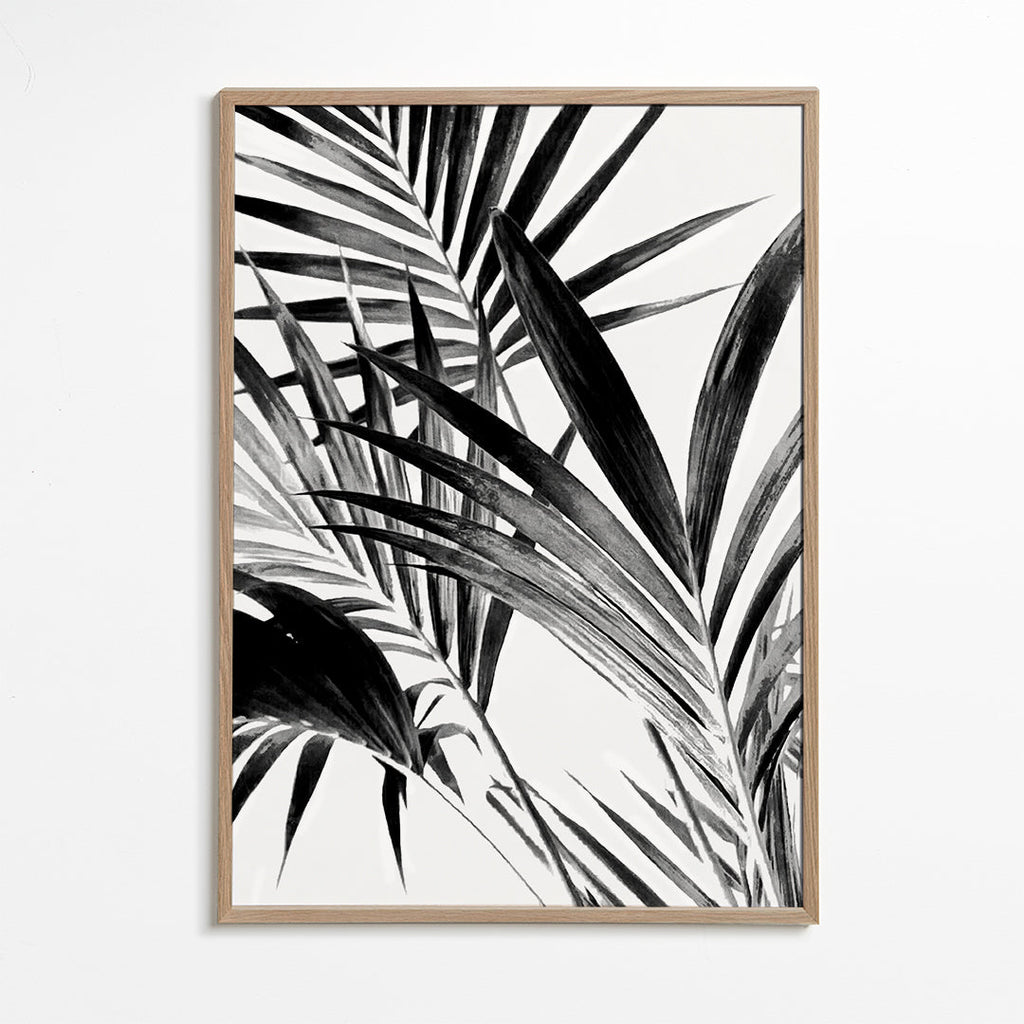 Palm Leaves Black and White 02