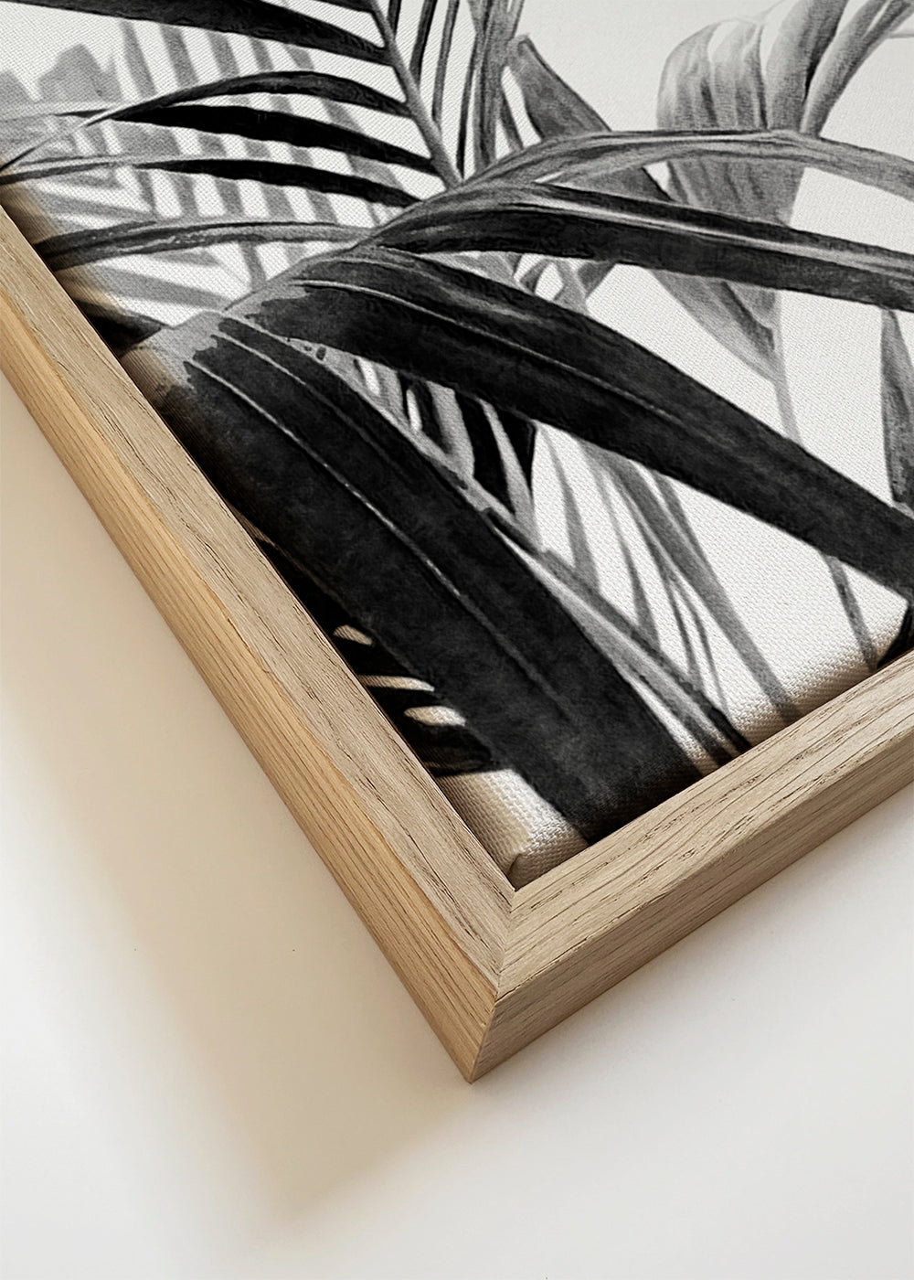 Palm Leaves Black and White 03