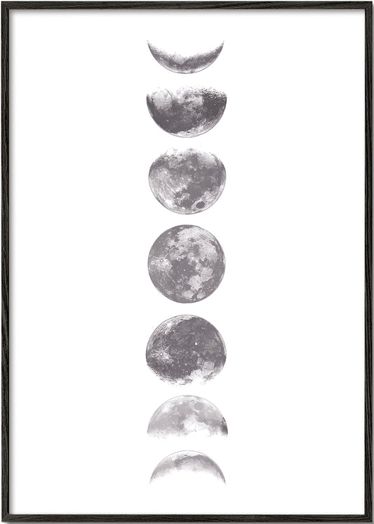 Phases of the moon