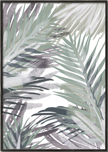 Palm