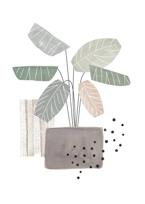 Plant - Unframed art print