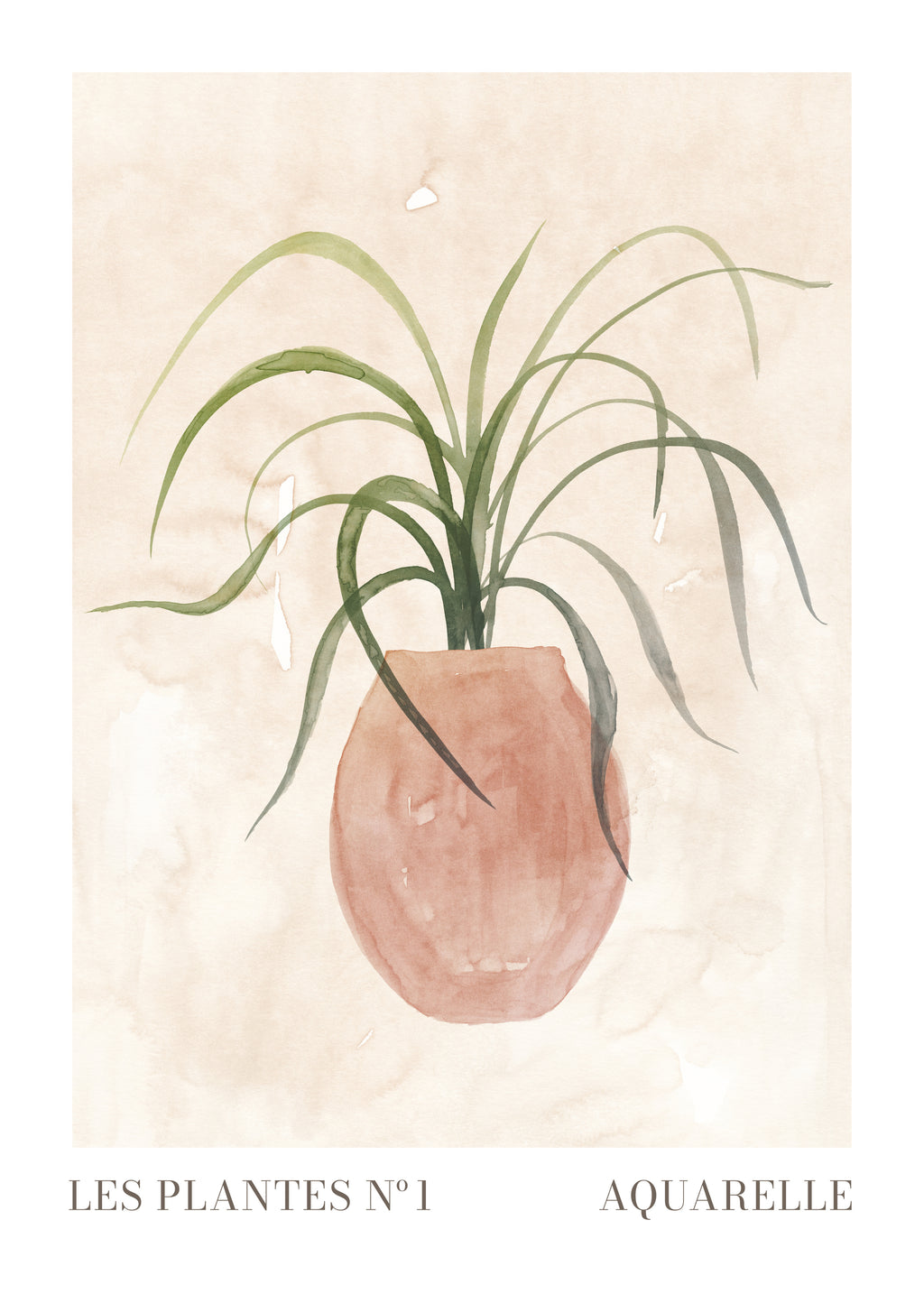 Les plantes Nº1 - Unframed art print