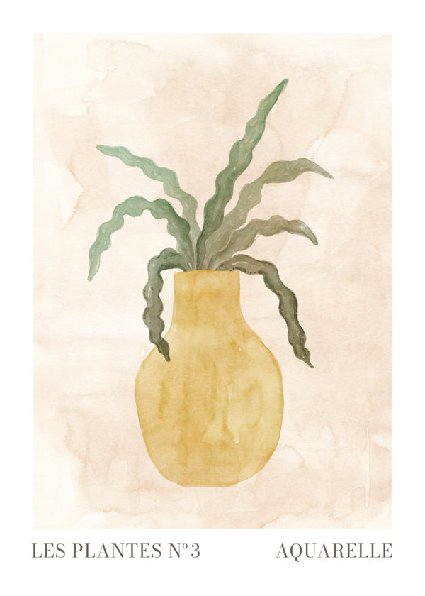 Les plantes Nº3