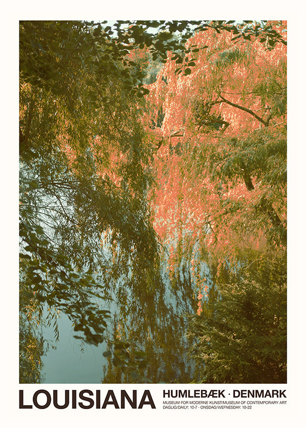 Landscape art: lake with soft reflections