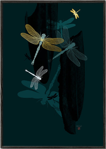 Midnight Dragonflies