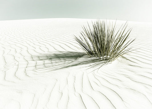 WHITE SANDS Dune | Vintage