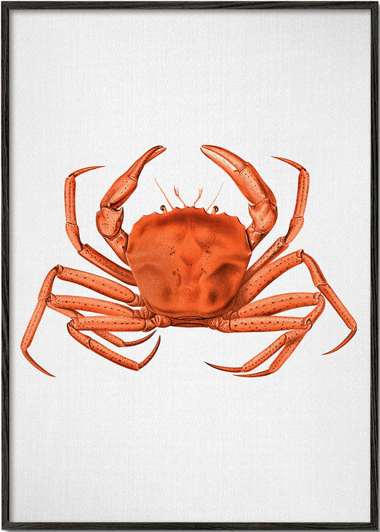 Watercolor Crab