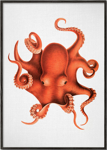 Watercolor Octopus