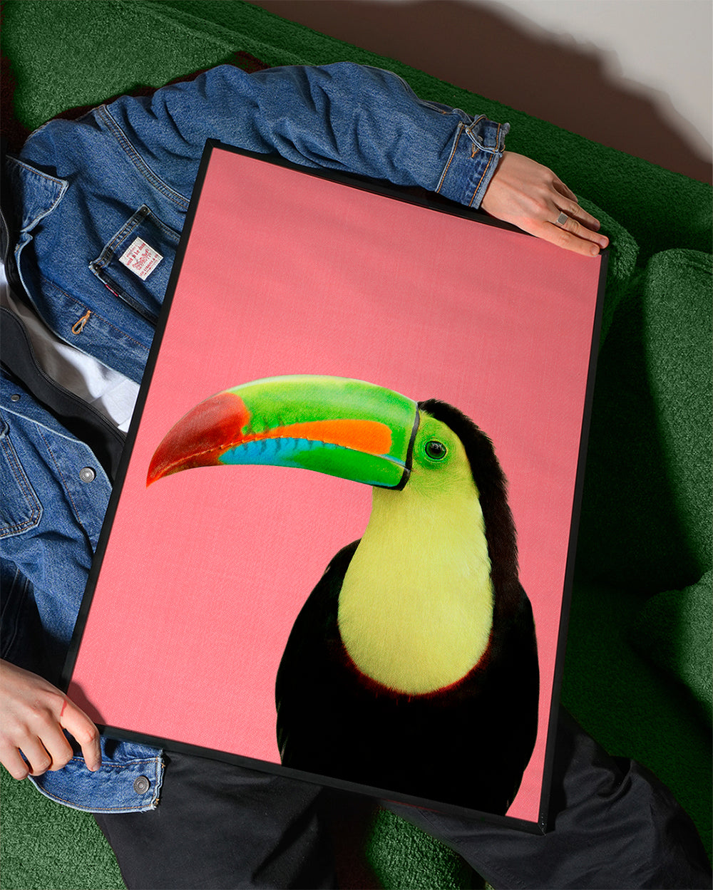Toucan Bird in Pink
