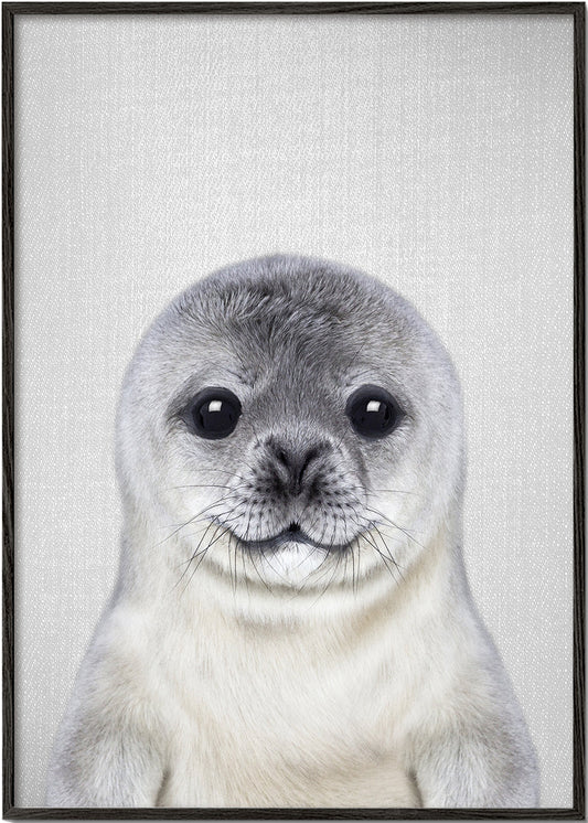 Baby Seal