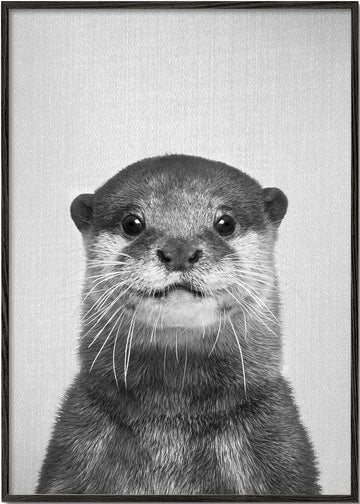 Otter - Black & White