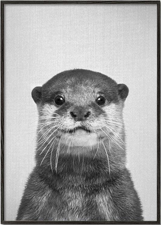 Otter - Black & White