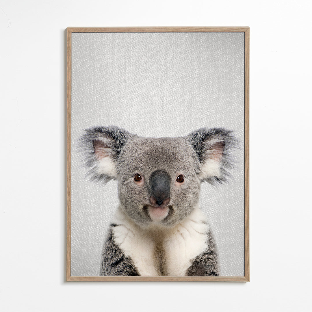 Koala