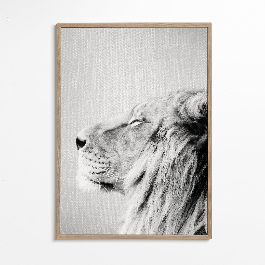 Lion Portrait - Black & White