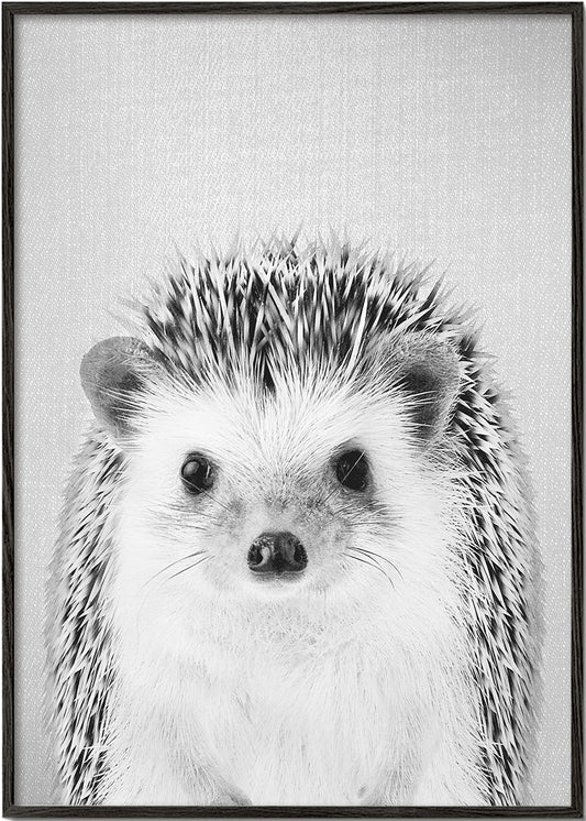 Hedgehog - Black & White