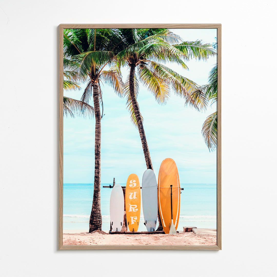 Choose Your Surfboard