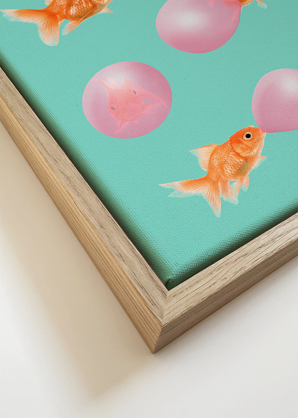Bubblegum Goldfish