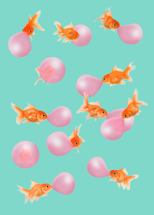 Bubblegum Goldfish