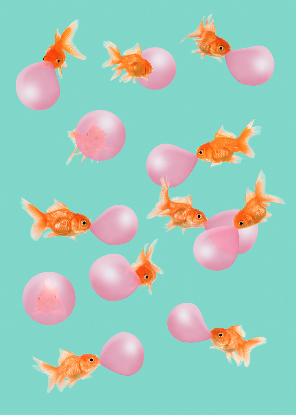 Bubblegum Goldfish - Unframed art print