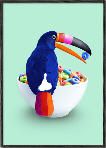 Cereal Toucan