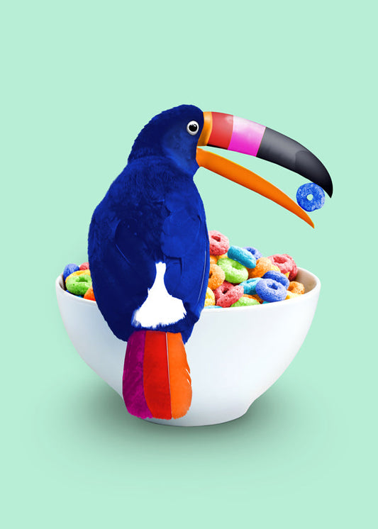 Cereal Toucan