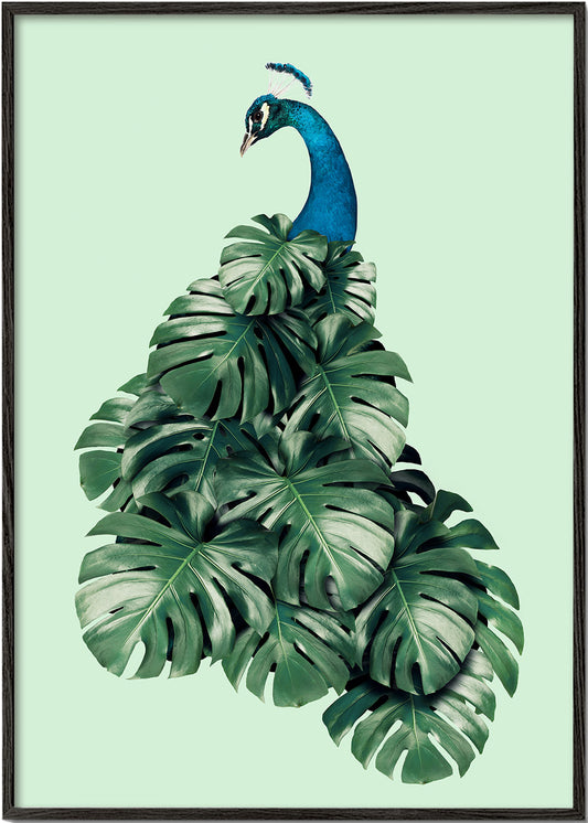 Monstera Bird