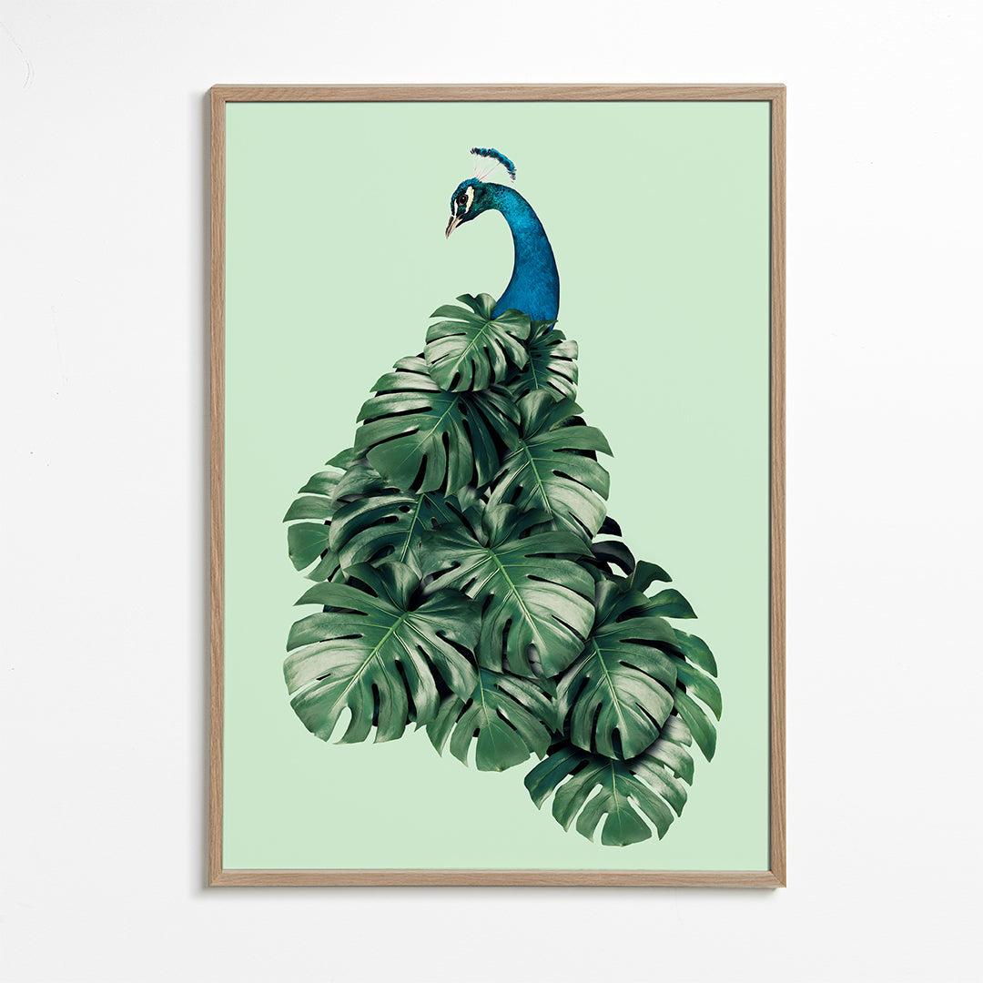Monstera Bird